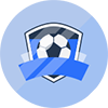 蜂群FC